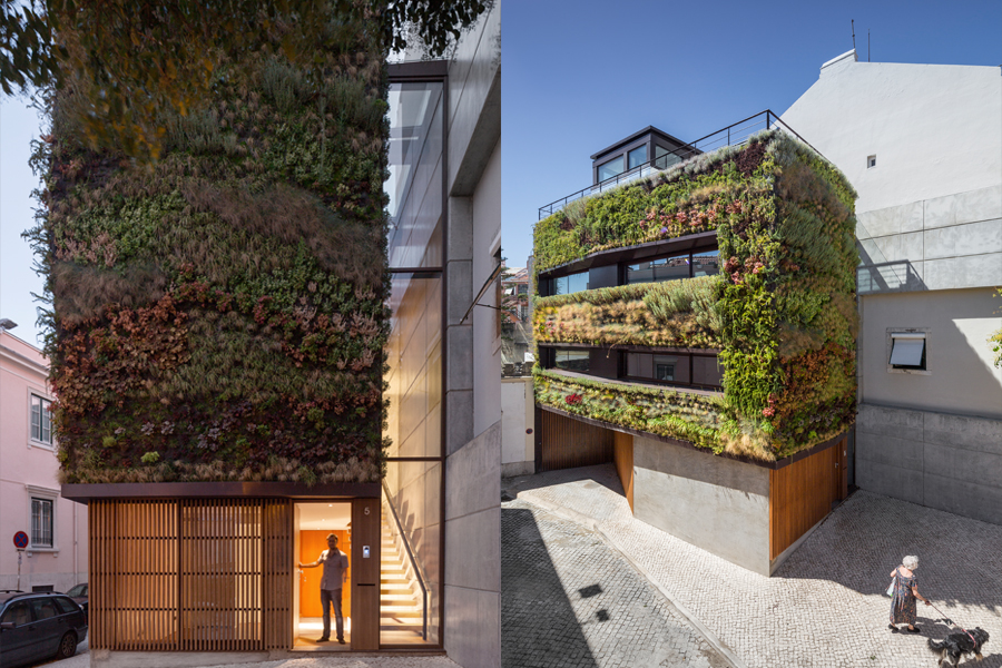House in Traversa with Vertical Garden Plants Facade Top