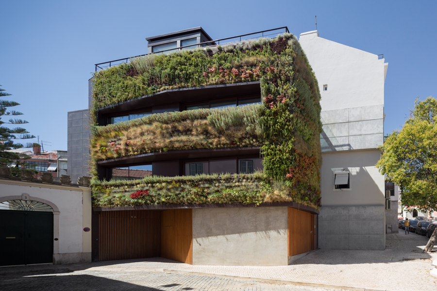 House in Traversa with Vertical Garden Plants Facade