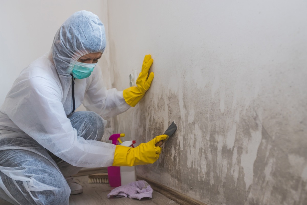 How To Get Rid Of Mold On Indoor Walls