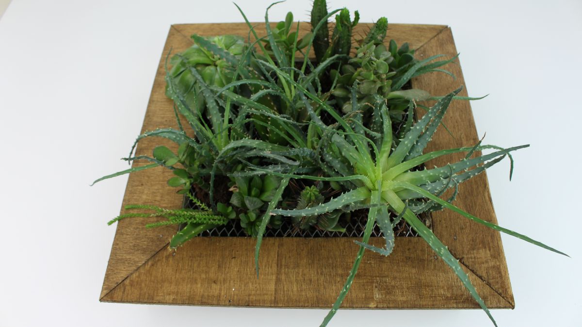 How To Make A Succulent Planter