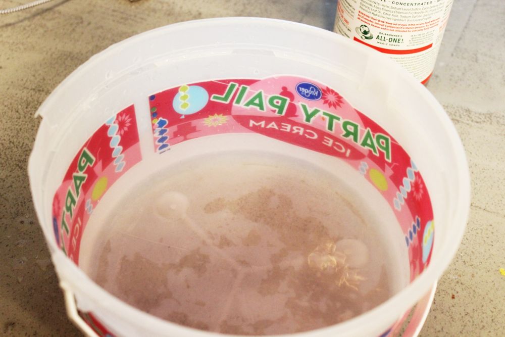 How to Clean Area Rugs Pour the water into an old cleaning bucket