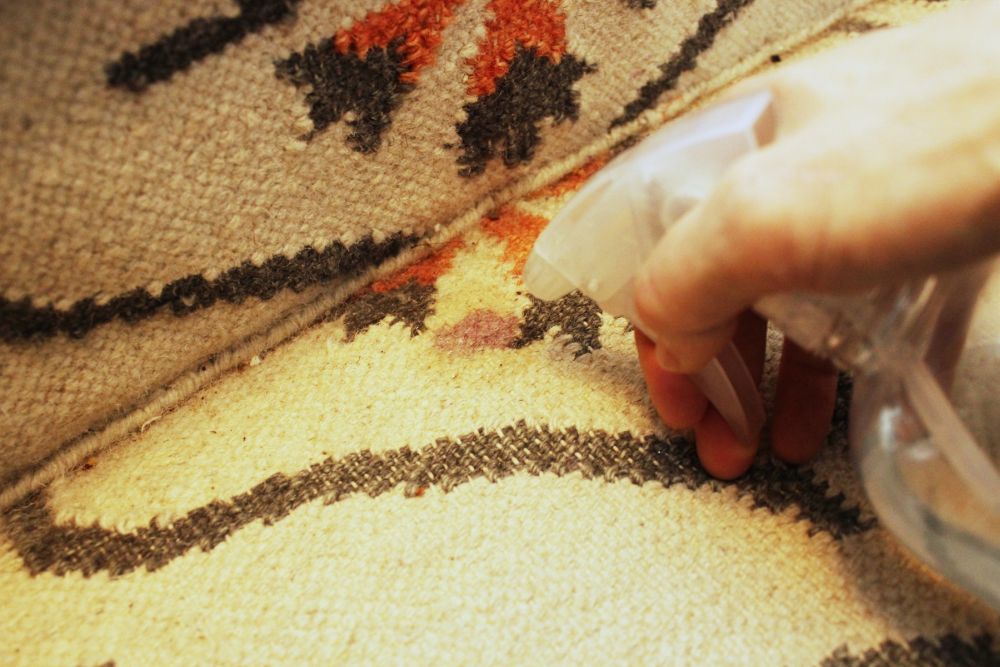 How to Clean Area Rugs spray the carpet with cleaner