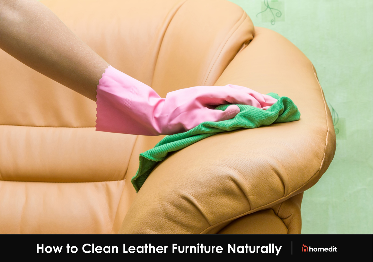 How to Clean Leather Furniture Like a Pro