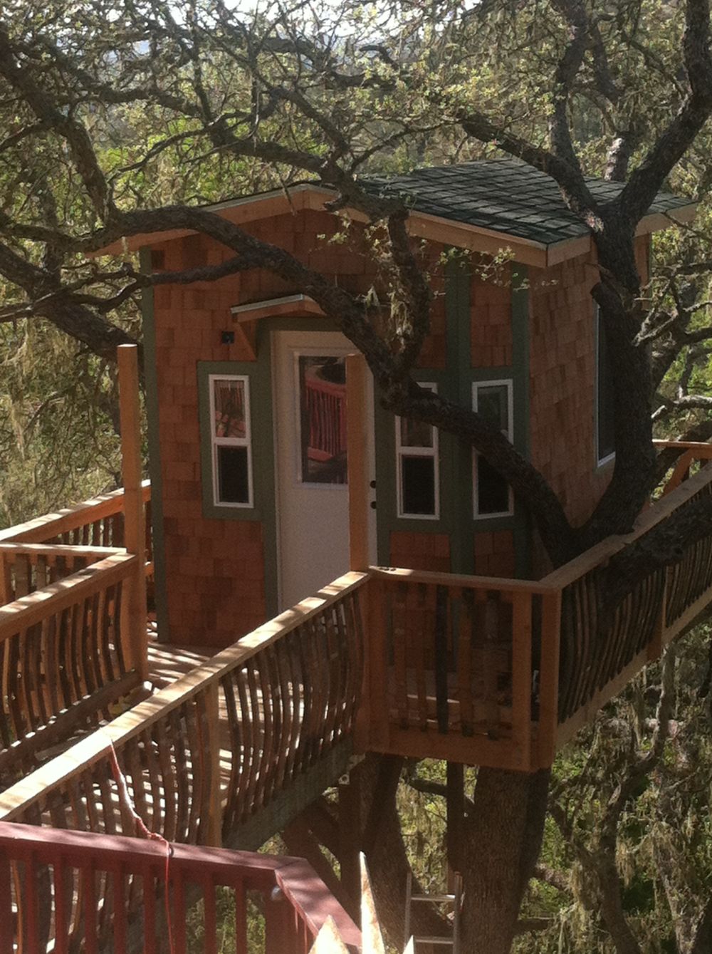 Luxury treehouse with a balcony and walkway