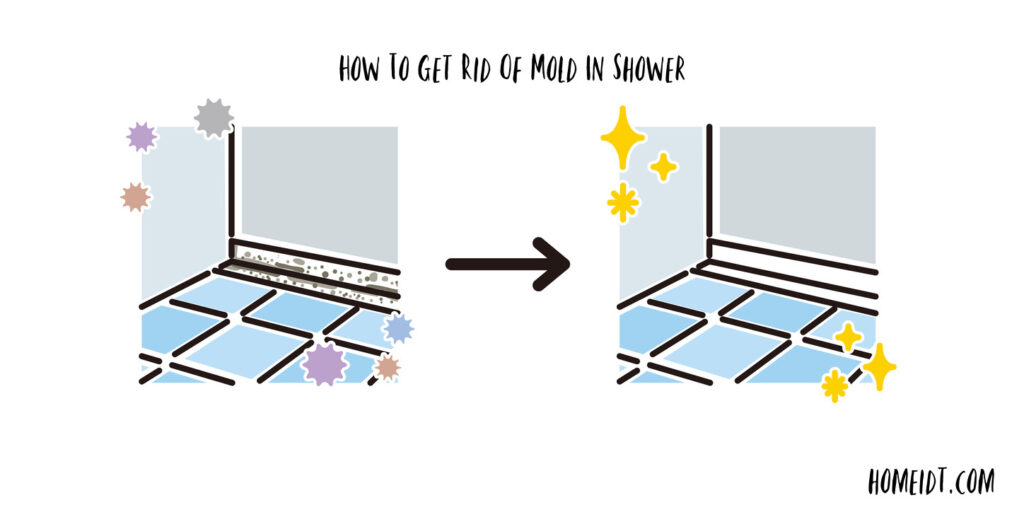 How To Get Rid Of Mold In Shower