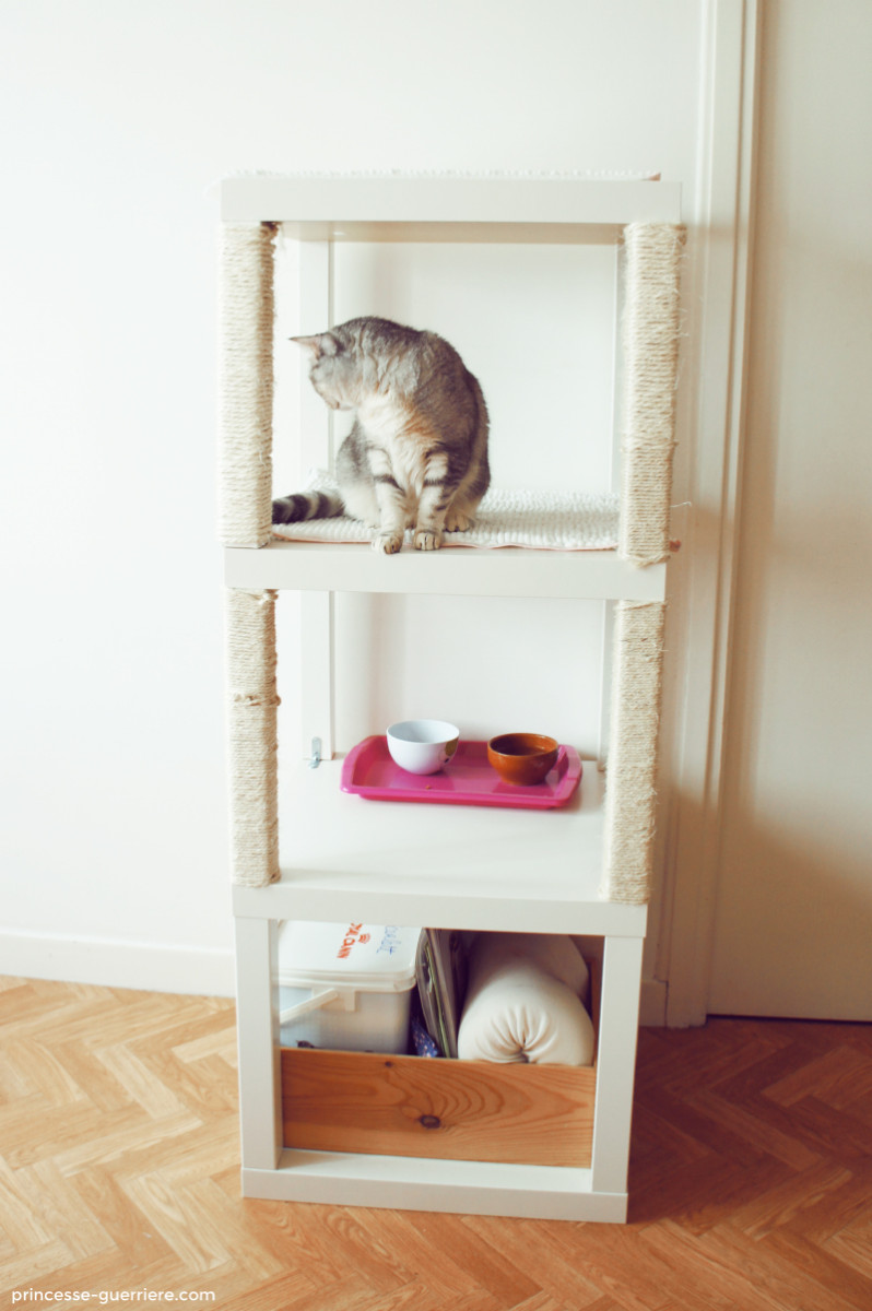 Modern Cat Tree Alternatives For Up-To-Date Pets