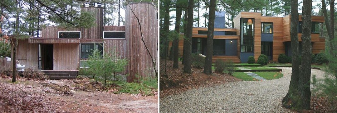 Into the forest before and after house renovation