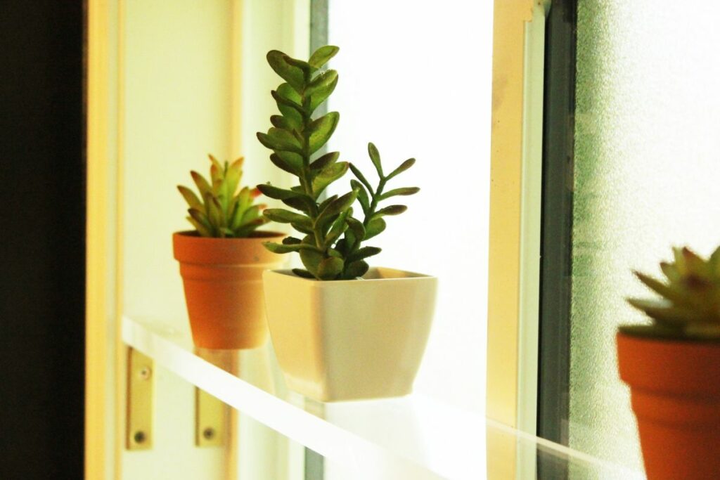 Difference Between Acrylic And Plexiglass 