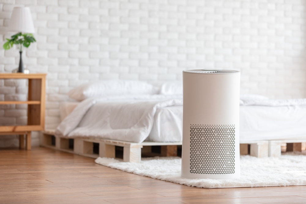 Ionic Air Purifiers