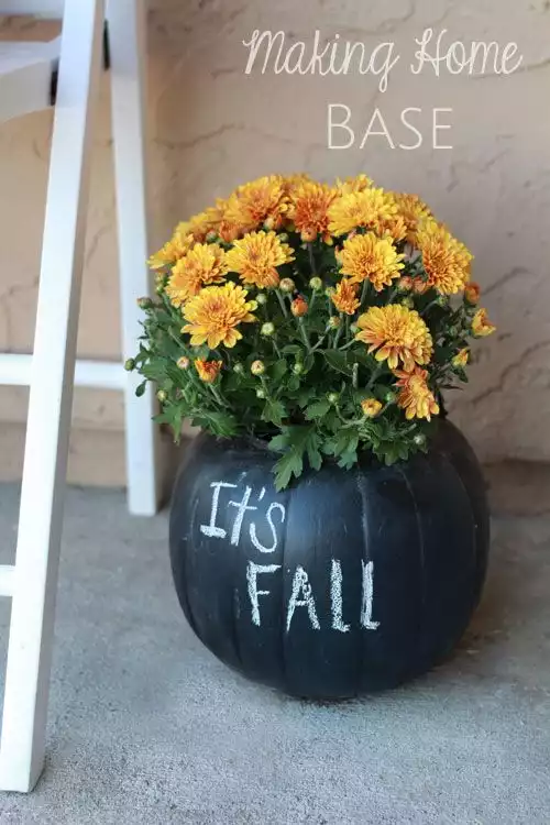 Its fall pumpkin flower vase