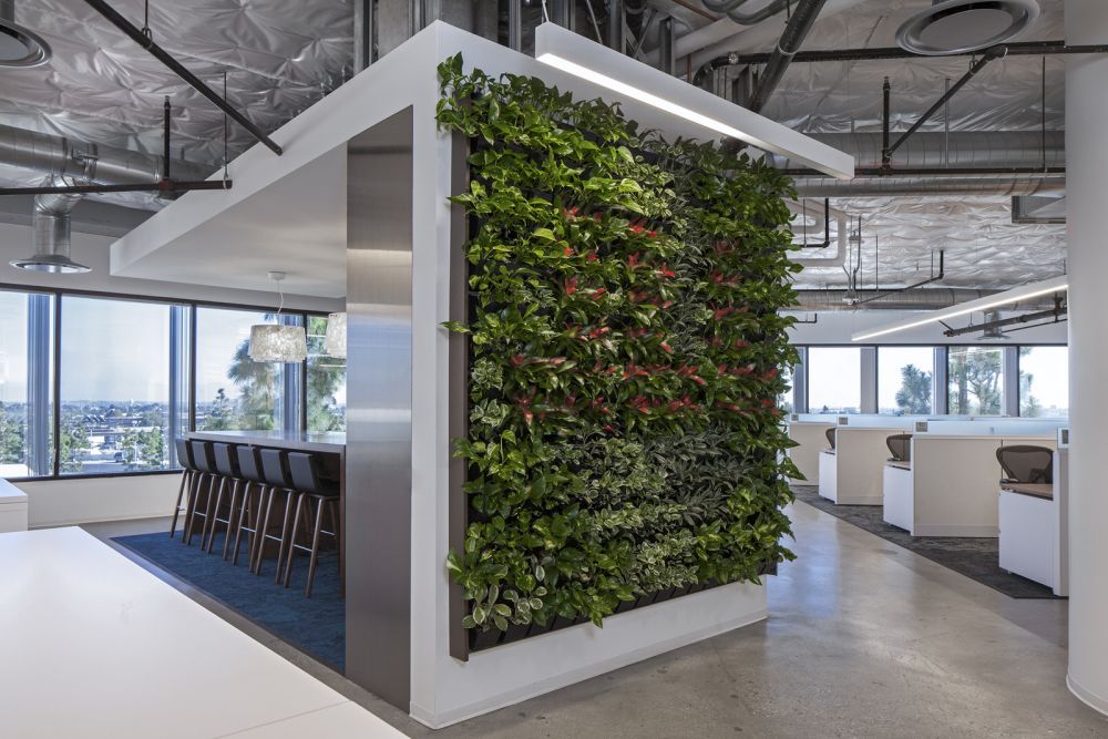 JLL Offices – El Segundo Green Walls