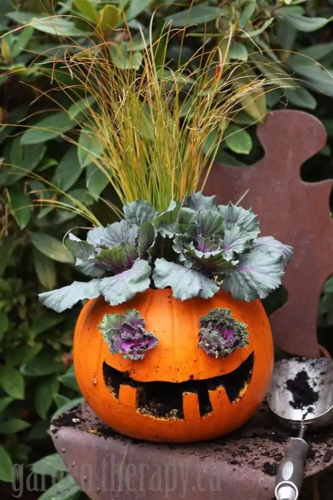 Jack o Planter