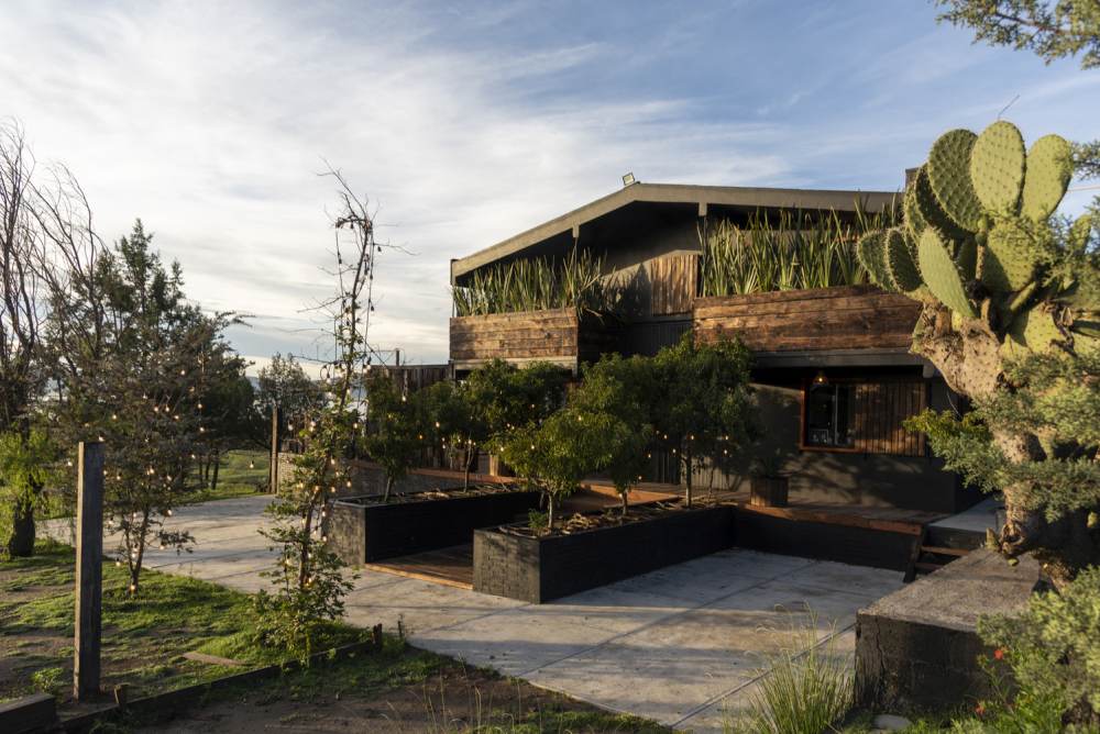 JapoNeza Retreat in Mexico by Fausto Teran planters