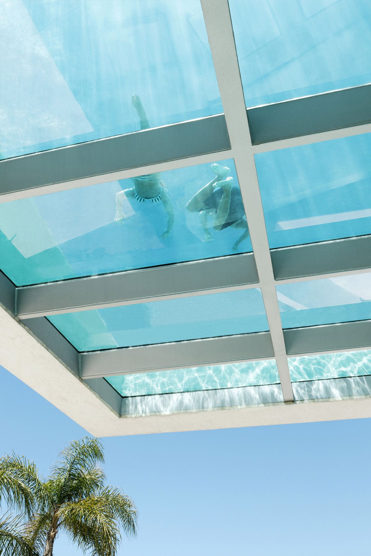 Jellyfish House Glass Pool Wiel Arets Architects