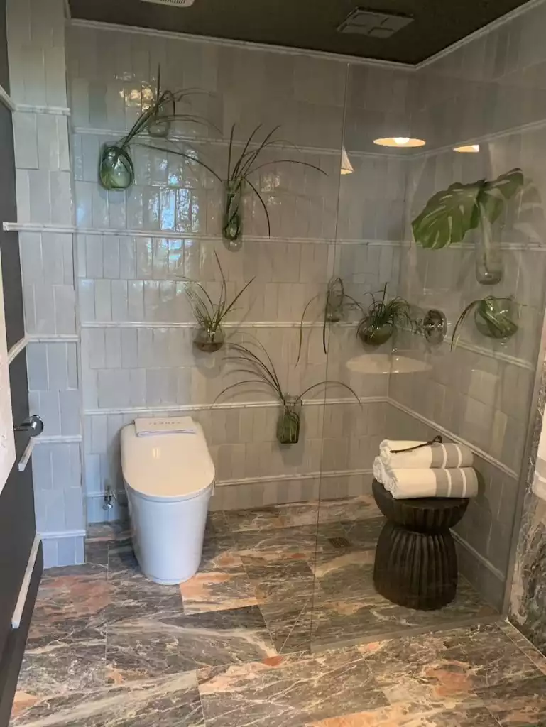 Kips Bay Palm Beach Showhouse walk in shower area with hanging plants