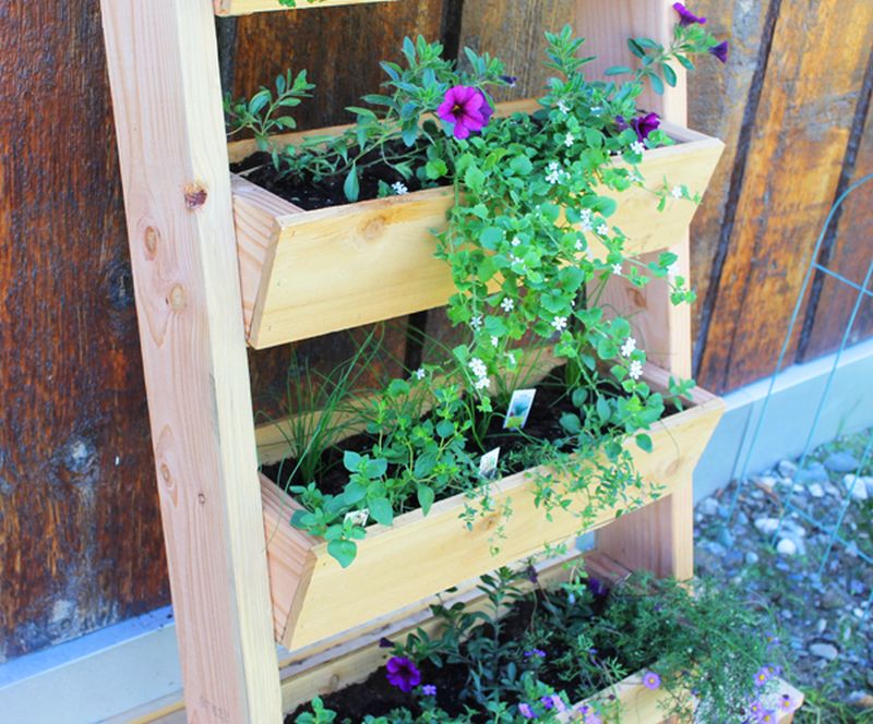 Beautiful Ladder Planters That You Can Craft, Buy And Decorate Your Home With