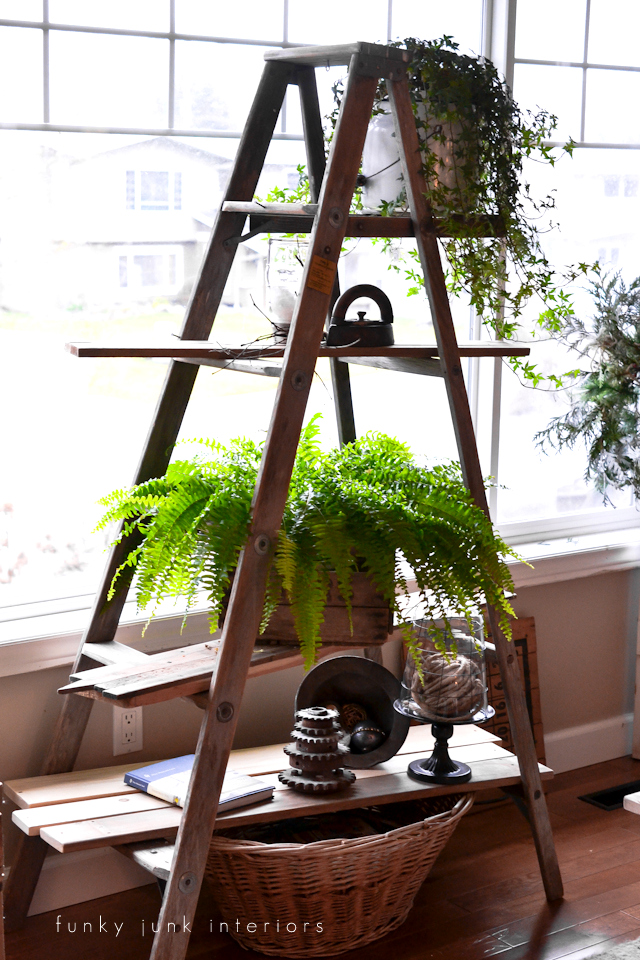 Ladder turned into shelves