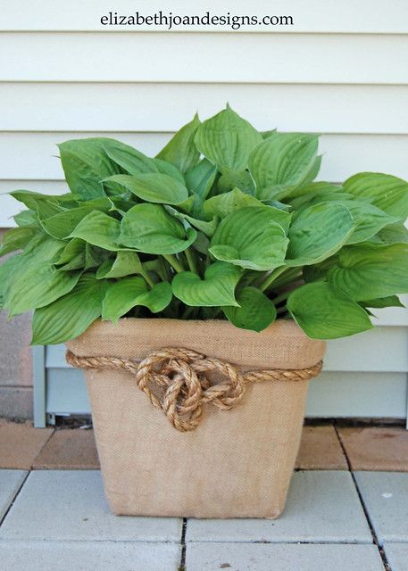 Laundry Basket Planter