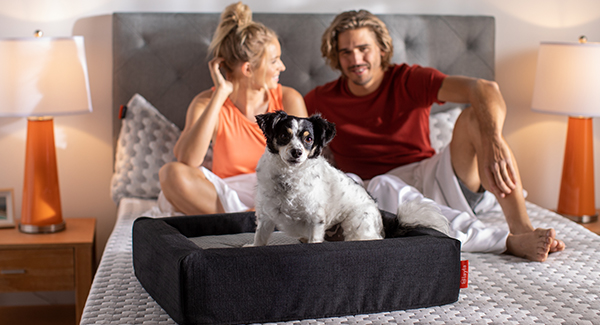 Layla Pet Bed