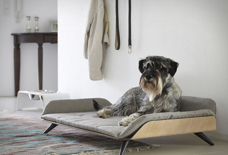 Letto dayBed