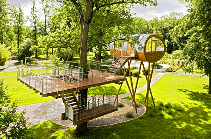 Living treehouse design