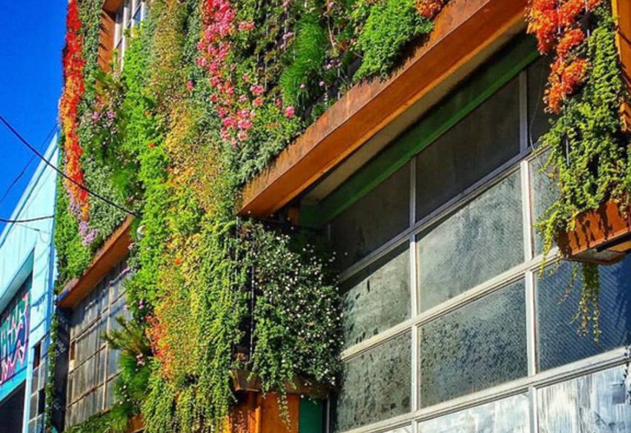 Living wall on San Francisco Closeer