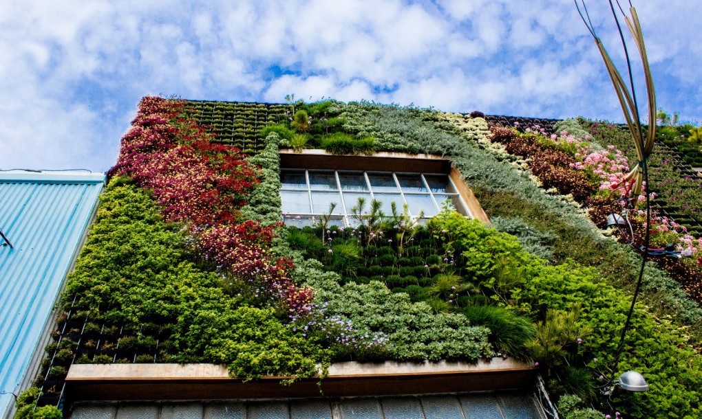 Living wall on San Francisco Wall