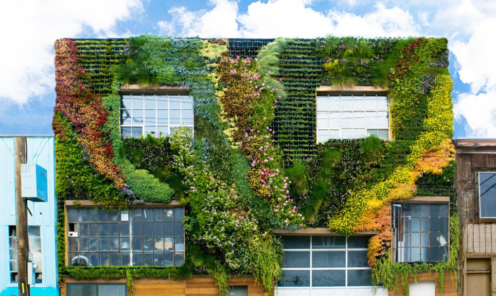 Living wall on San Francisco