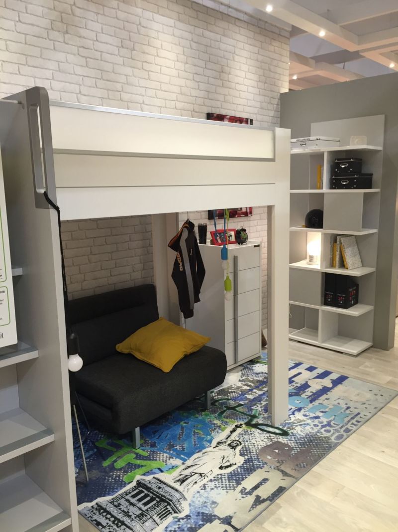 Loft bed with sofa under