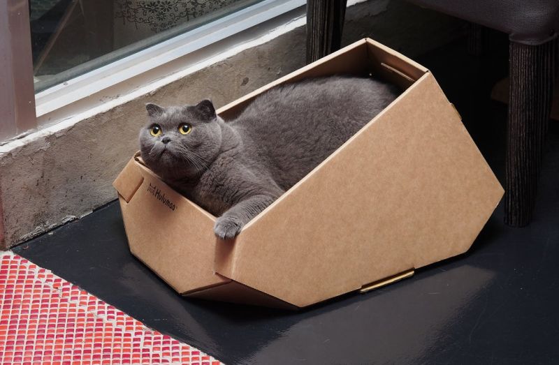 Lounge Chair cat furniture with scratcher