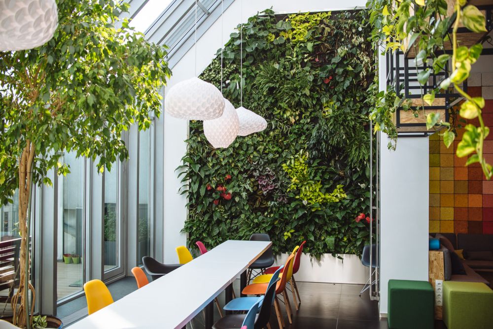 Lush vegetation on Skyscanner – Budapest Offices