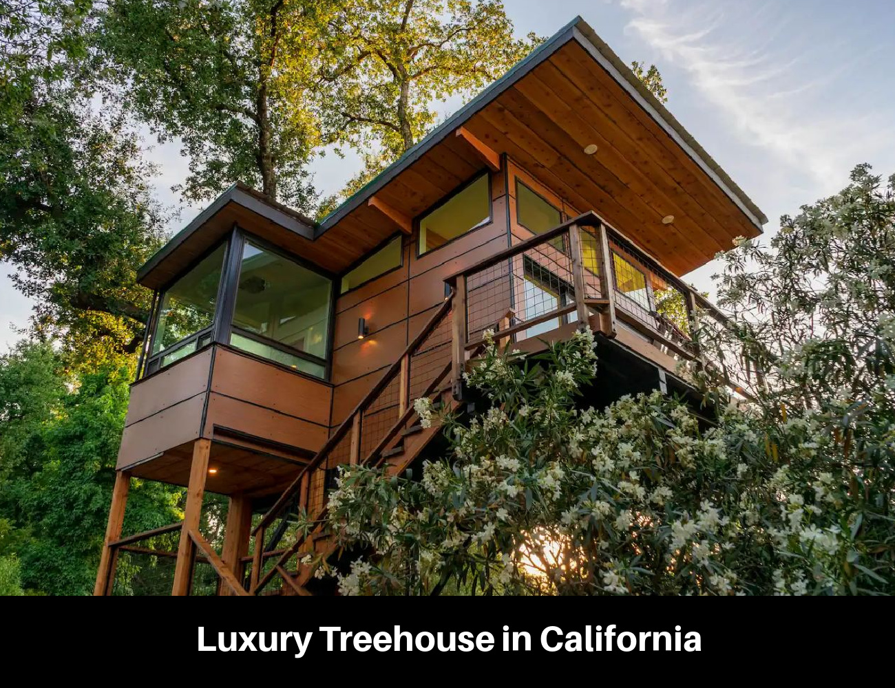 Luxury Treehouse in California