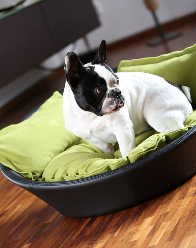 MILA puppy bed out of faux leather