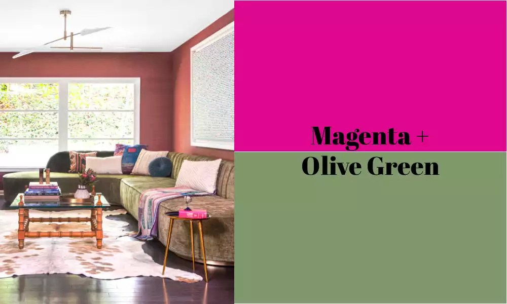 Magenta + Olive Green