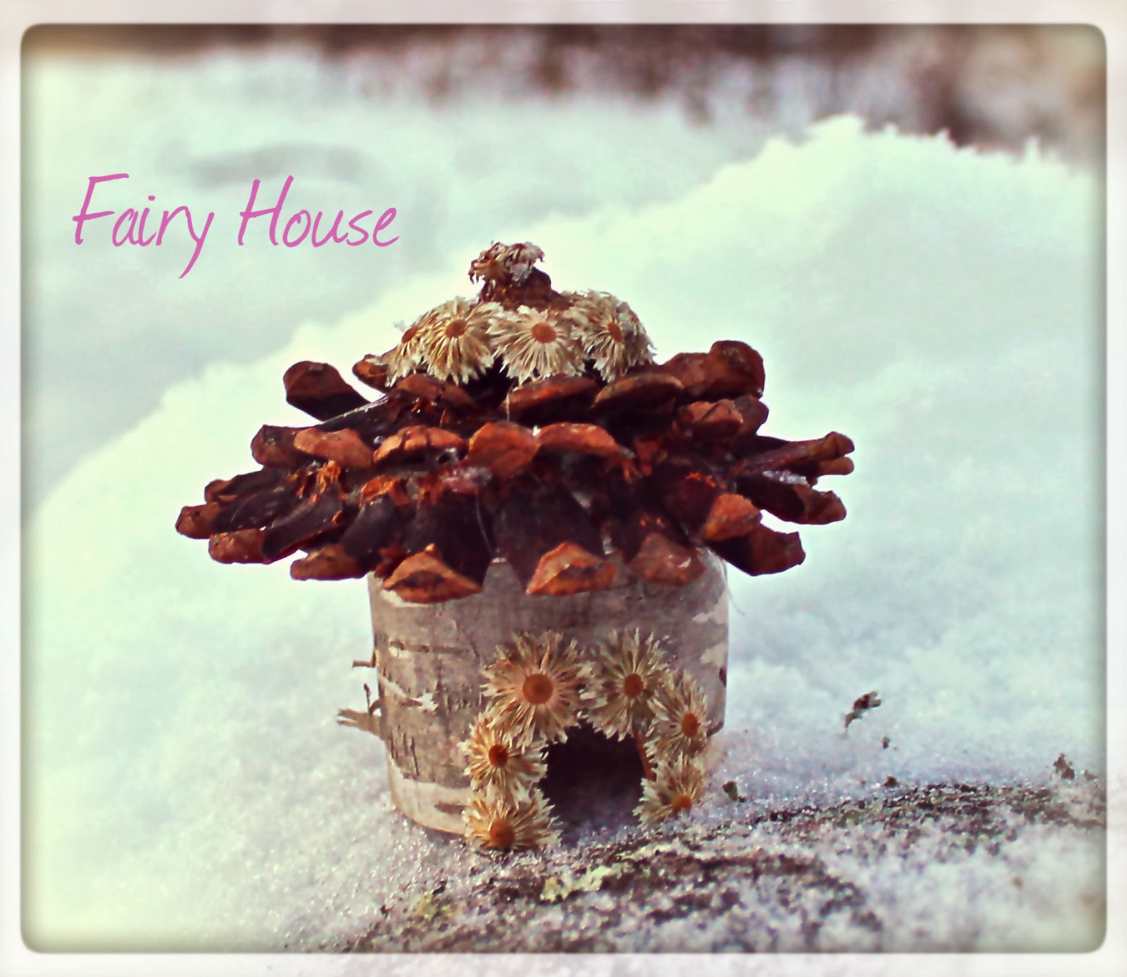 Magical Birch Fairy House