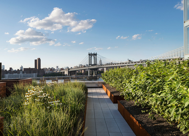 Mahattan Rooftop New York Garden Planters