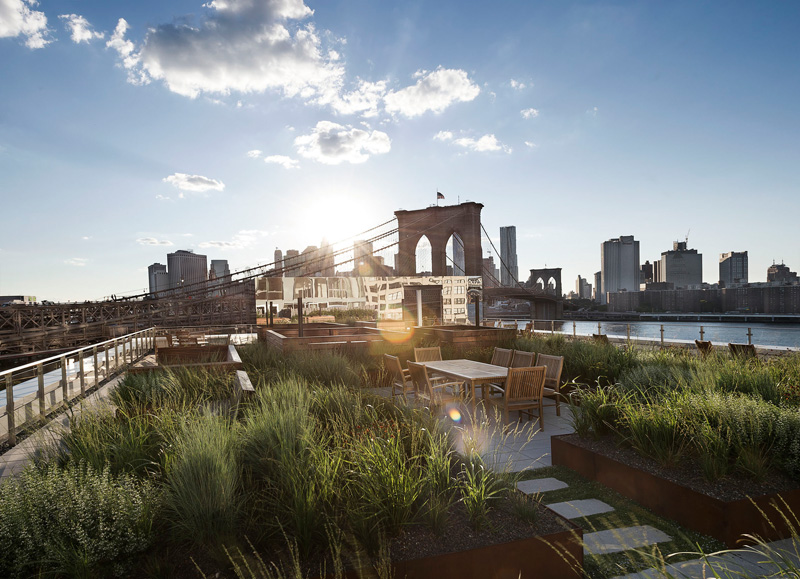 Mahattan Rooftop New York Garden