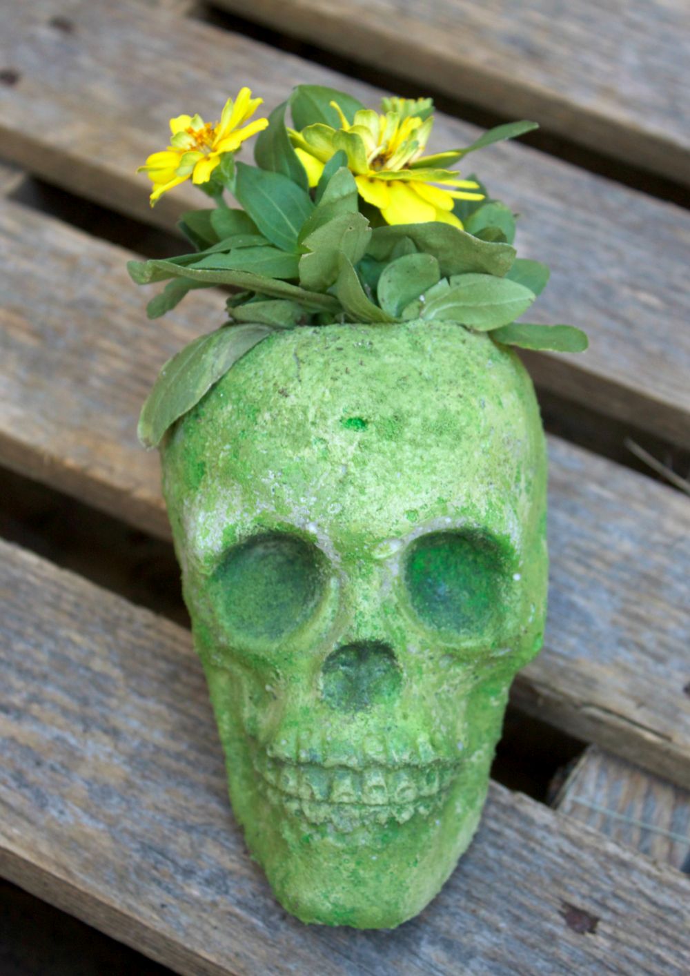 Make a Cement Skull Planter