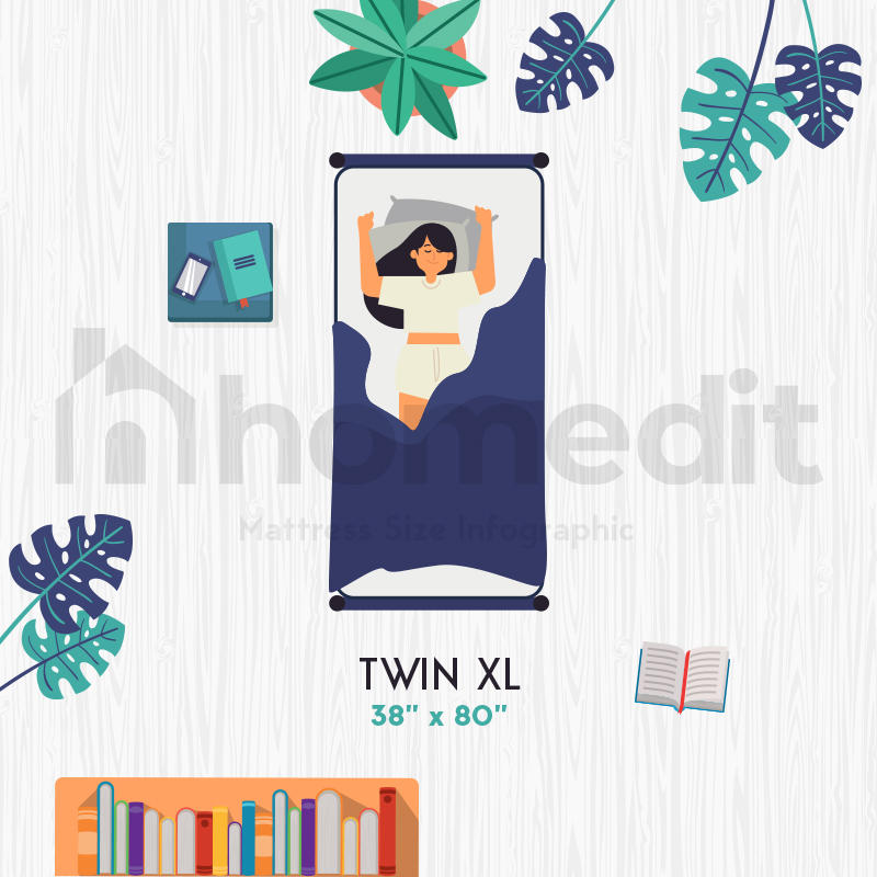 Twin XL Size Bed