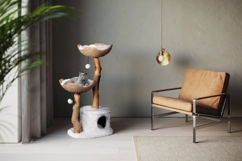 Mau cat furniture tree