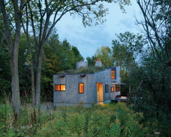 McLeod House Eco Roof