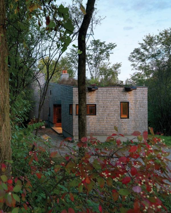 McLeod House Eco Roof1