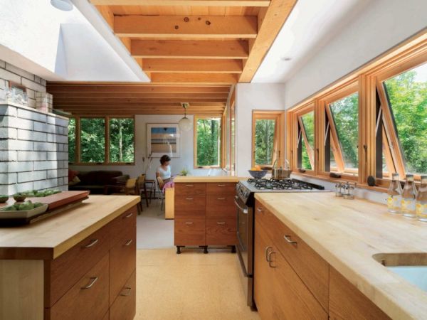 McLeod House Eco Roof4