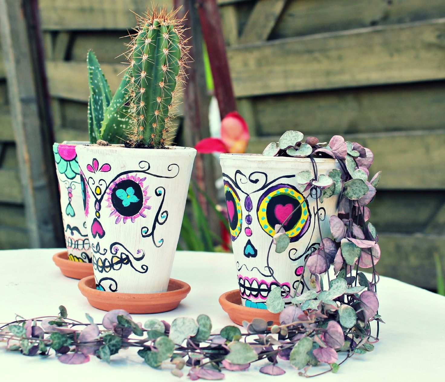 Mexican sugar skull planter