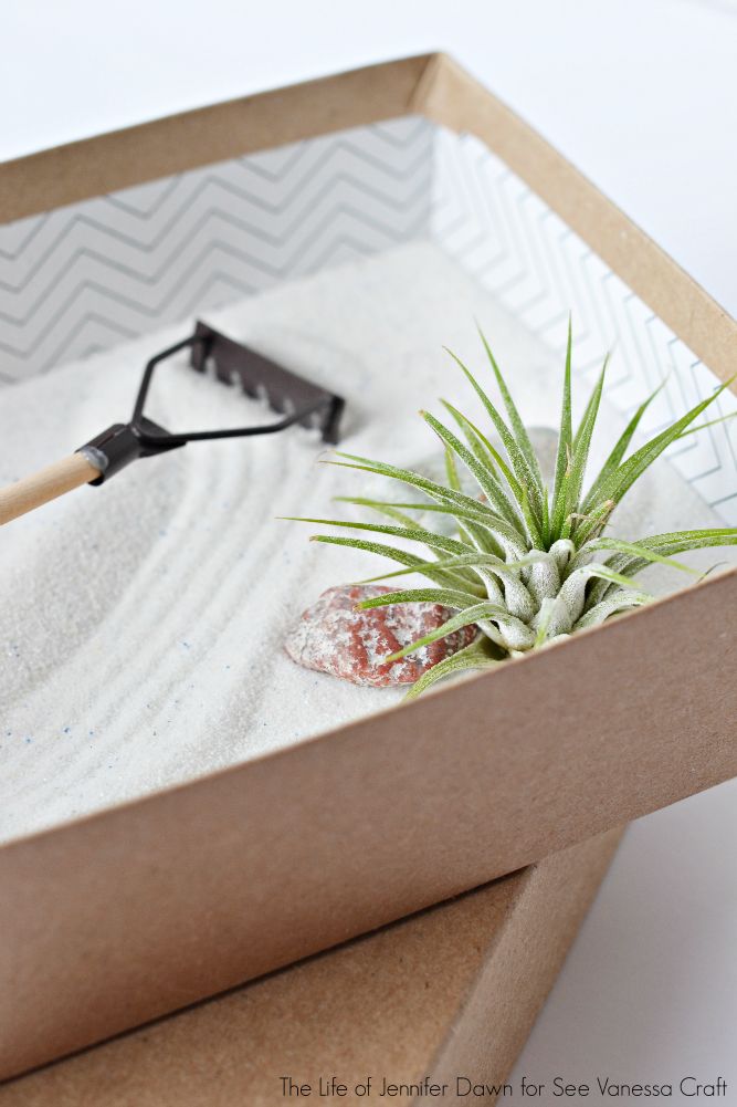 Mini Zen Garden for Father’s Day