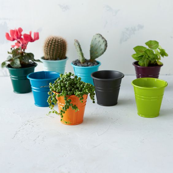 Mini bucket planter