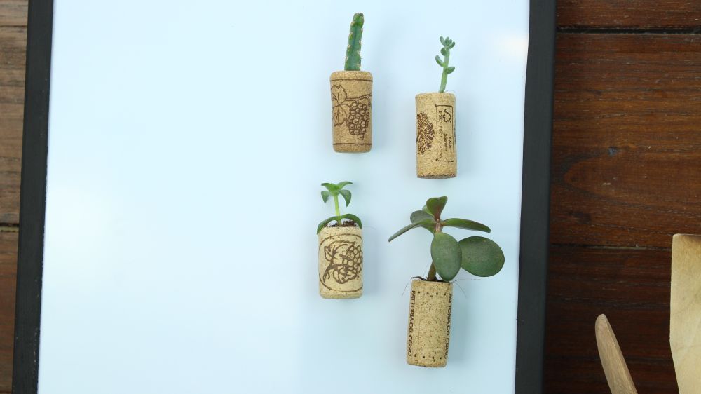 Mini planters for the fridge