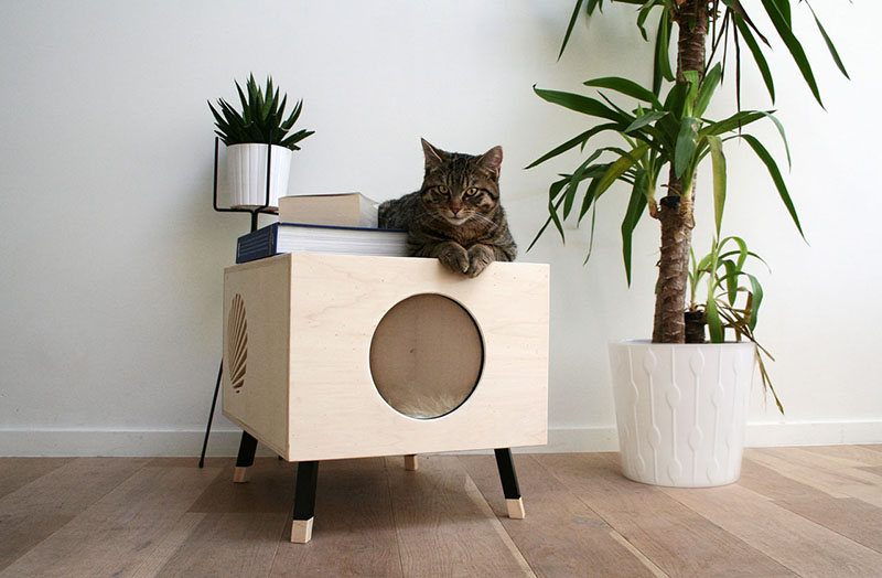 Minimalist Modern Cat Bed