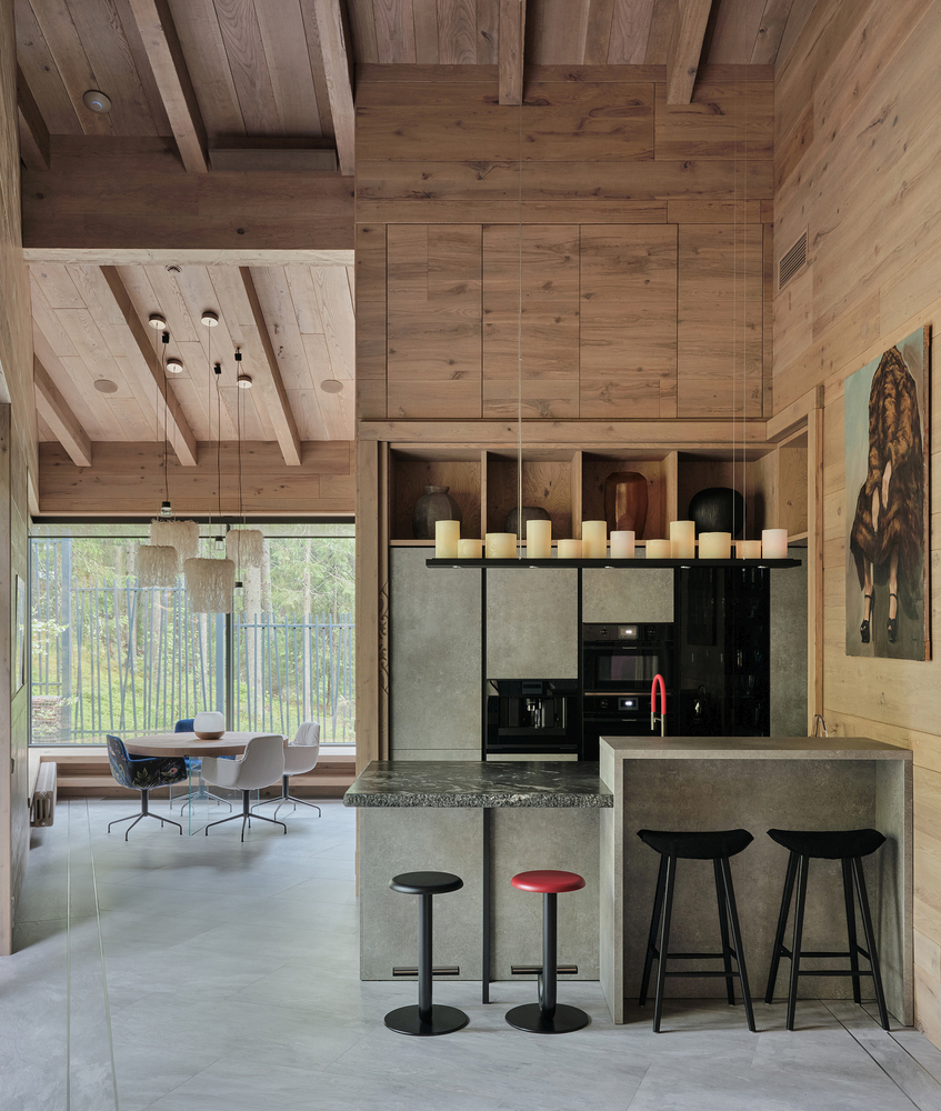 Modern Cabin Russian forest Hill House kitchen design