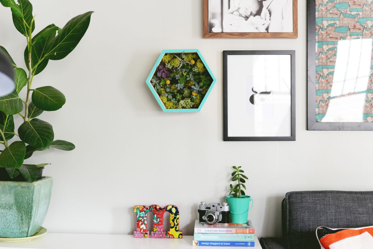 Modern DIY Succulent Wall Planter